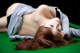 Megumi Yasu - Dream Eroticas De P9 No.6cb873
