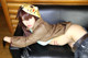 Cosplay Mikoshiba - Amamiya Nude Doggy P10 No.b265c0